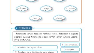 3. Sınıf Meb Yayınları Hayat Bilgisi Ders Kitabı Sayfa 20 Cevapları