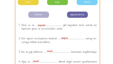 3. Sınıf Meb Yayınları Hayat Bilgisi Ders Kitabı Sayfa 201 Cevapları