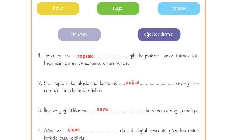 3. Sınıf Meb Yayınları Hayat Bilgisi Ders Kitabı Sayfa 201 Cevapları