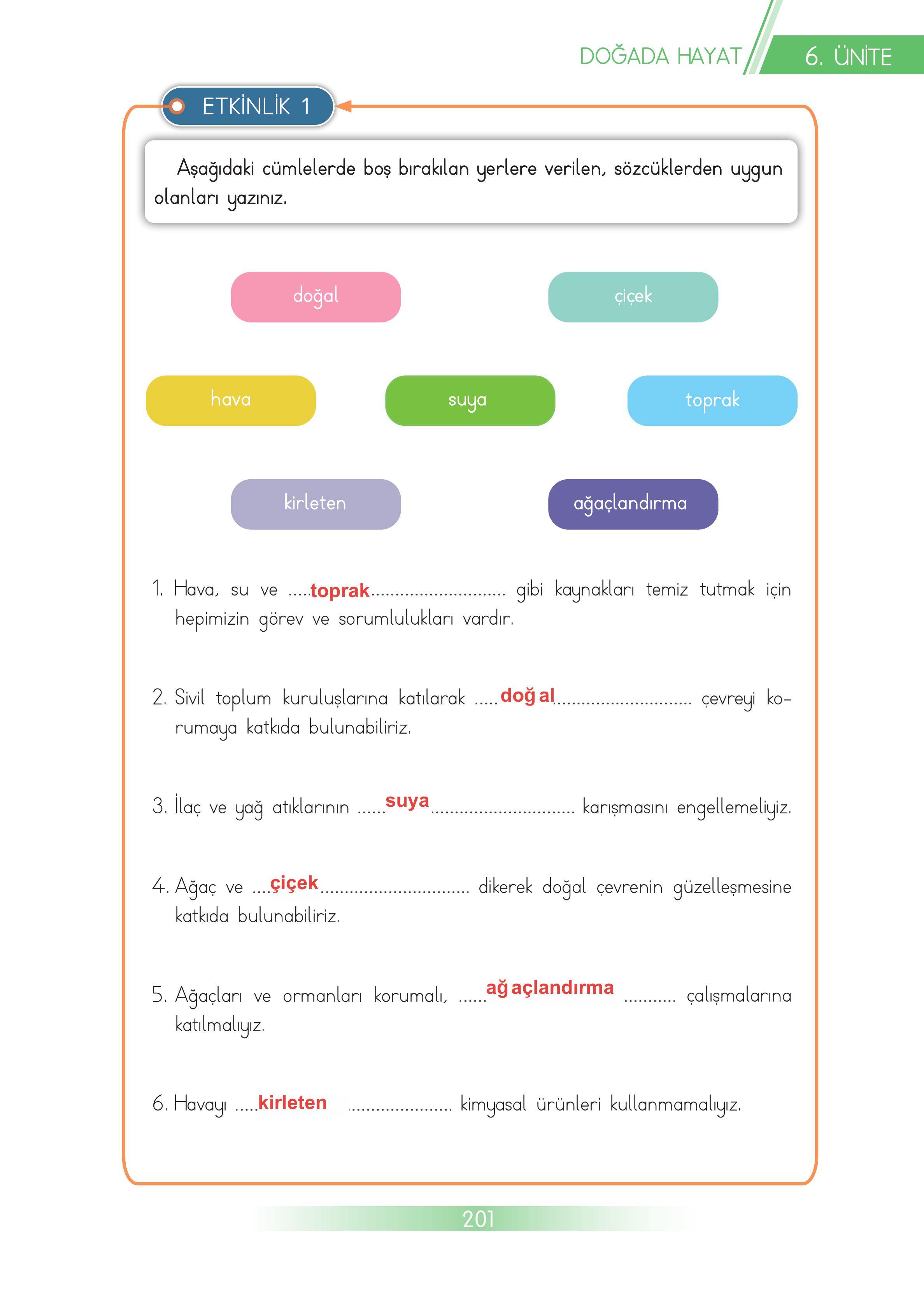 3. Sınıf Meb Yayınları Hayat Bilgisi Ders Kitabı Sayfa 201 Cevapları