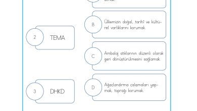 3. Sınıf Meb Yayınları Hayat Bilgisi Ders Kitabı Sayfa 202 Cevapları