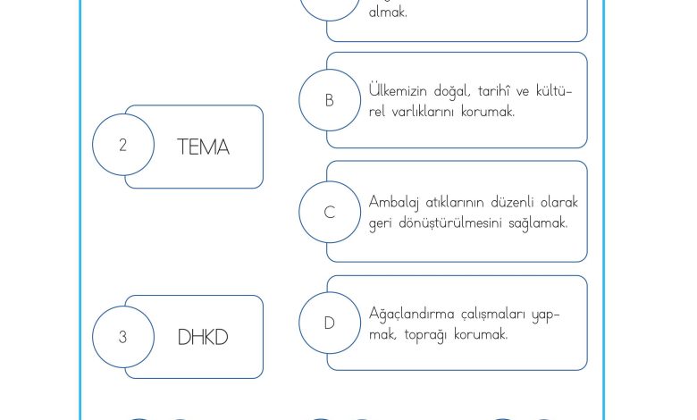 3. Sınıf Meb Yayınları Hayat Bilgisi Ders Kitabı Sayfa 202 Cevapları