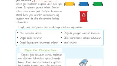 3. Sınıf Meb Yayınları Hayat Bilgisi Ders Kitabı Sayfa 203 Cevapları