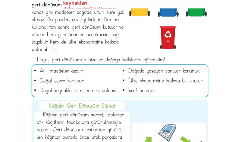 3. Sınıf Meb Yayınları Hayat Bilgisi Ders Kitabı Sayfa 203 Cevapları