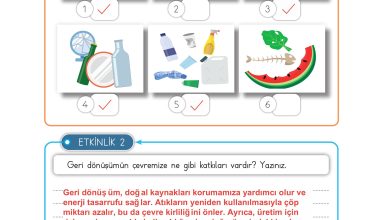 3. Sınıf Meb Yayınları Hayat Bilgisi Ders Kitabı Sayfa 204 Cevapları