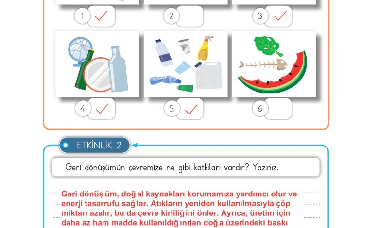 3. Sınıf Meb Yayınları Hayat Bilgisi Ders Kitabı Sayfa 204 Cevapları