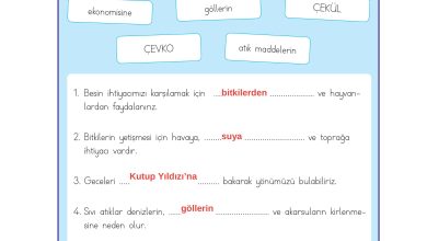 3. Sınıf Meb Yayınları Hayat Bilgisi Ders Kitabı Sayfa 205 Cevapları