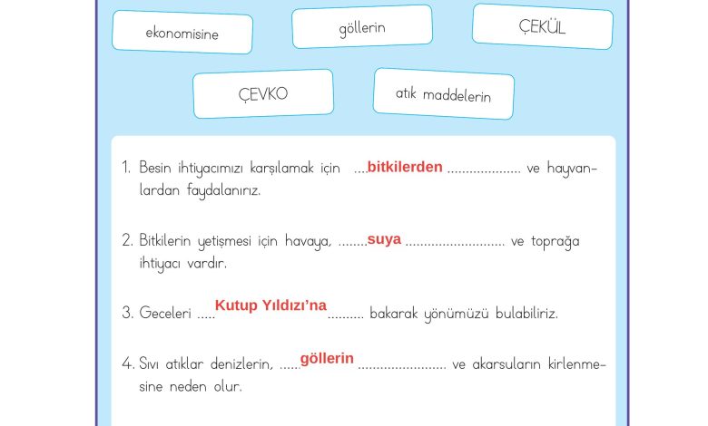 3. Sınıf Meb Yayınları Hayat Bilgisi Ders Kitabı Sayfa 205 Cevapları