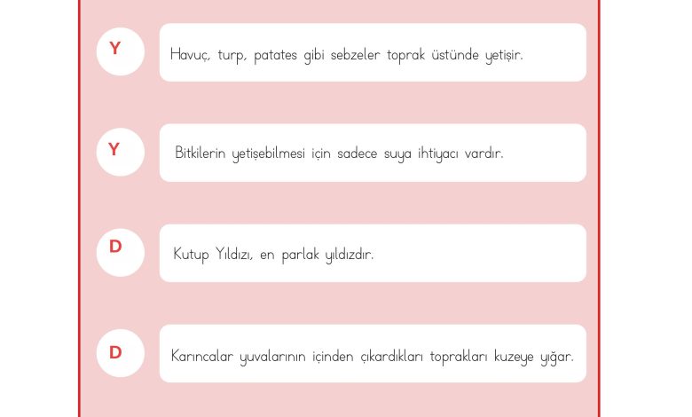 3. Sınıf Meb Yayınları Hayat Bilgisi Ders Kitabı Sayfa 206 Cevapları