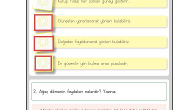 3. Sınıf Meb Yayınları Hayat Bilgisi Ders Kitabı Sayfa 207 Cevapları