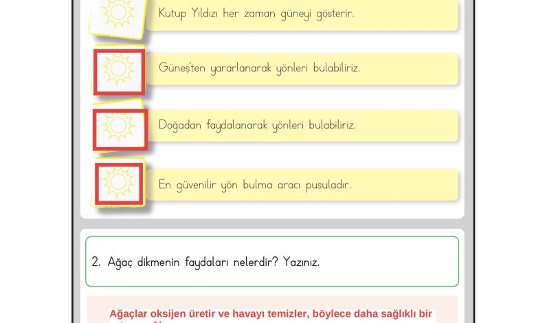 3. Sınıf Meb Yayınları Hayat Bilgisi Ders Kitabı Sayfa 207 Cevapları