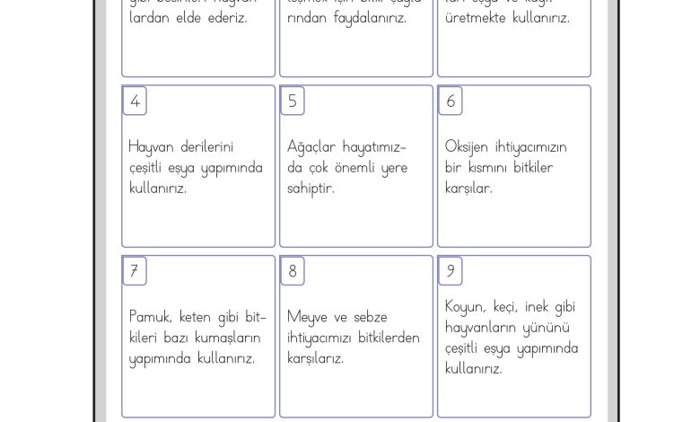 3. Sınıf Meb Yayınları Hayat Bilgisi Ders Kitabı Sayfa 209 Cevapları