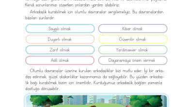 3. Sınıf Meb Yayınları Hayat Bilgisi Ders Kitabı Sayfa 21 Cevapları