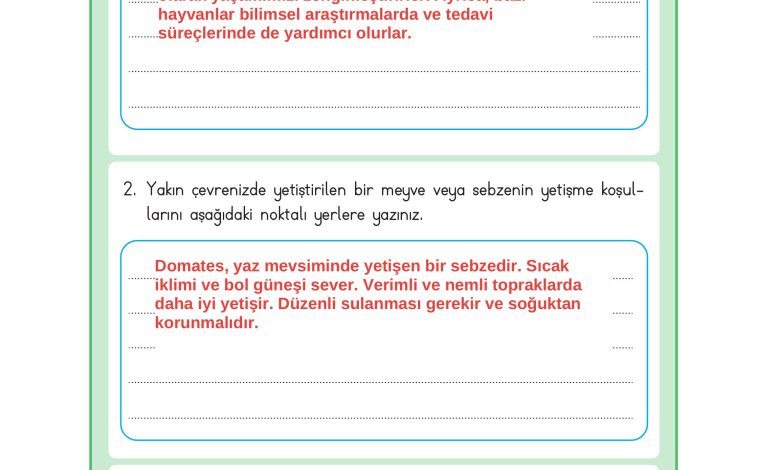 3. Sınıf Meb Yayınları Hayat Bilgisi Ders Kitabı Sayfa 210 Cevapları