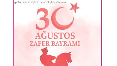 3. Sınıf Meb Yayınları Hayat Bilgisi Ders Kitabı Sayfa 214 Cevapları