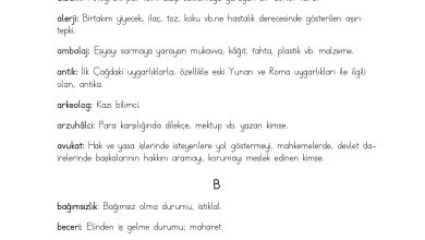 3. Sınıf Meb Yayınları Hayat Bilgisi Ders Kitabı Sayfa 217 Cevapları