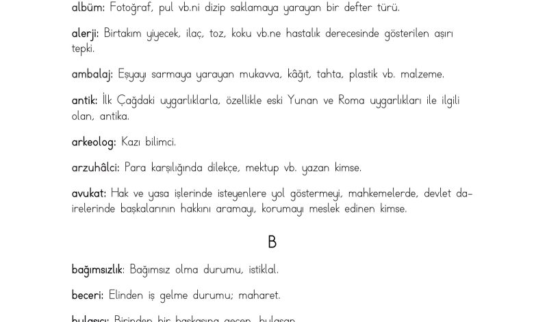 3. Sınıf Meb Yayınları Hayat Bilgisi Ders Kitabı Sayfa 217 Cevapları