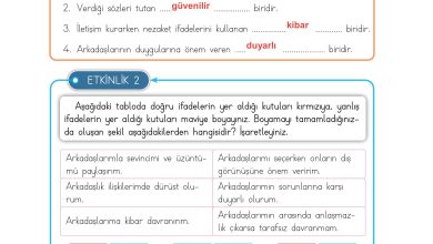 3. Sınıf Meb Yayınları Hayat Bilgisi Ders Kitabı Sayfa 22 Cevapları