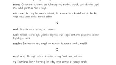 3. Sınıf Meb Yayınları Hayat Bilgisi Ders Kitabı Sayfa 220 Cevapları