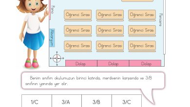 3. Sınıf Meb Yayınları Hayat Bilgisi Ders Kitabı Sayfa 24 Cevapları