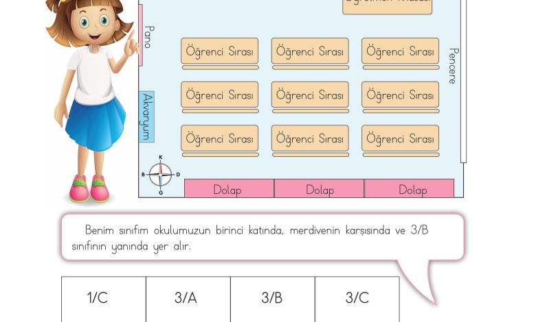 3. Sınıf Meb Yayınları Hayat Bilgisi Ders Kitabı Sayfa 24 Cevapları