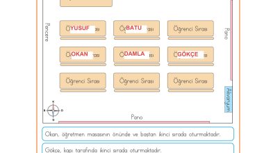 3. Sınıf Meb Yayınları Hayat Bilgisi Ders Kitabı Sayfa 25 Cevapları