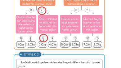 3. Sınıf Meb Yayınları Hayat Bilgisi Ders Kitabı Sayfa 28 Cevapları