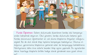 3. Sınıf Meb Yayınları Hayat Bilgisi Ders Kitabı Sayfa 29 Cevapları