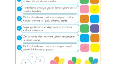 3. Sınıf Meb Yayınları Hayat Bilgisi Ders Kitabı Sayfa 31 Cevapları