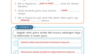 3. Sınıf Meb Yayınları Hayat Bilgisi Ders Kitabı Sayfa 34 Cevapları