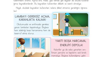 3. Sınıf Meb Yayınları Hayat Bilgisi Ders Kitabı Sayfa 35 Cevapları