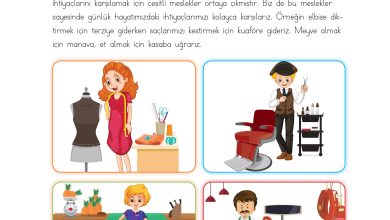 3. Sınıf Meb Yayınları Hayat Bilgisi Ders Kitabı Sayfa 37 Cevapları