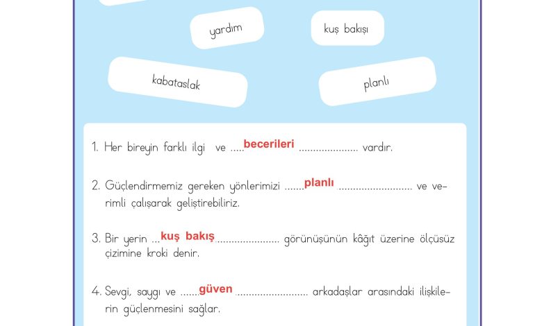 3. Sınıf Meb Yayınları Hayat Bilgisi Ders Kitabı Sayfa 41 Cevapları