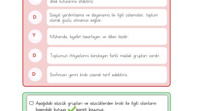 3. Sınıf Meb Yayınları Hayat Bilgisi Ders Kitabı Sayfa 42 Cevapları