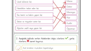 3. Sınıf Meb Yayınları Hayat Bilgisi Ders Kitabı Sayfa 43 Cevapları