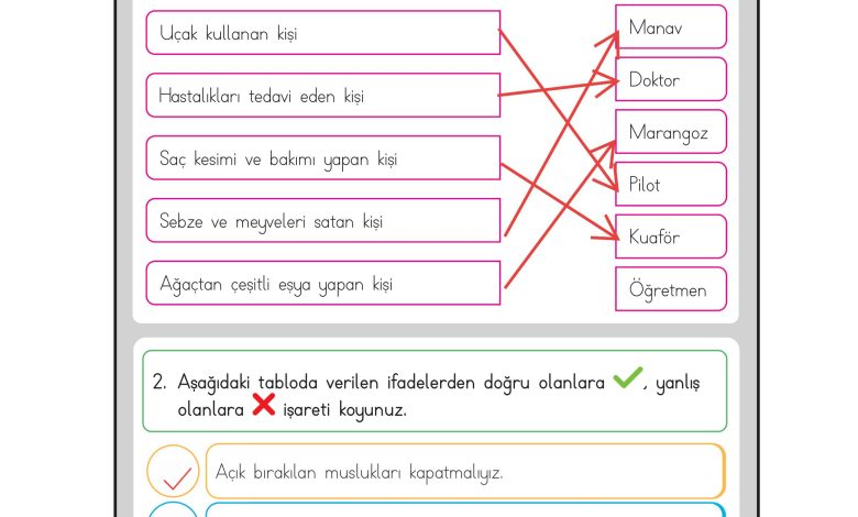 3. Sınıf Meb Yayınları Hayat Bilgisi Ders Kitabı Sayfa 43 Cevapları