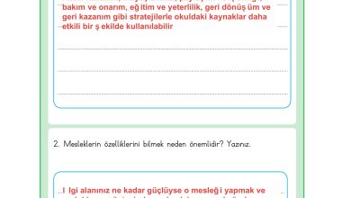 3. Sınıf Meb Yayınları Hayat Bilgisi Ders Kitabı Sayfa 46 Cevapları