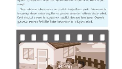 3. Sınıf Meb Yayınları Hayat Bilgisi Ders Kitabı Sayfa 57 Cevapları