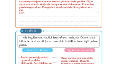 3. Sınıf Meb Yayınları Hayat Bilgisi Ders Kitabı Sayfa 59 Cevapları