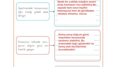 3. Sınıf Meb Yayınları Hayat Bilgisi Ders Kitabı Sayfa 62 Cevapları