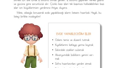 3. Sınıf Meb Yayınları Hayat Bilgisi Ders Kitabı Sayfa 66 Cevapları