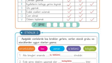 3. Sınıf Meb Yayınları Hayat Bilgisi Ders Kitabı Sayfa 67 Cevapları