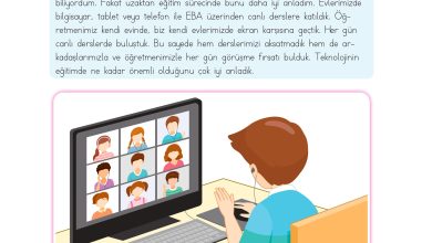 3. Sınıf Meb Yayınları Hayat Bilgisi Ders Kitabı Sayfa 68 Cevapları