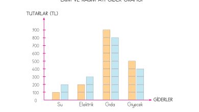 3. Sınıf Meb Yayınları Hayat Bilgisi Ders Kitabı Sayfa 73 Cevapları