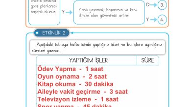 3. Sınıf Meb Yayınları Hayat Bilgisi Ders Kitabı Sayfa 77 Cevapları