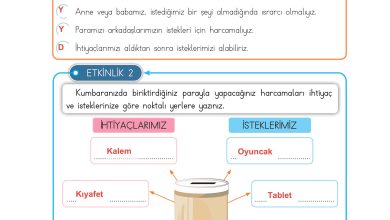 3. Sınıf Meb Yayınları Hayat Bilgisi Ders Kitabı Sayfa 79 Cevapları