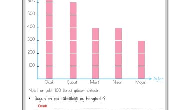 3. Sınıf Meb Yayınları Hayat Bilgisi Ders Kitabı Sayfa 82 Cevapları