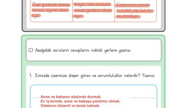 3. Sınıf Meb Yayınları Hayat Bilgisi Ders Kitabı Sayfa 84 Cevapları