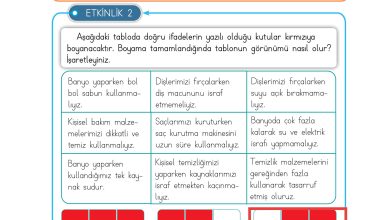 3. Sınıf Meb Yayınları Hayat Bilgisi Ders Kitabı Sayfa 95 Cevapları