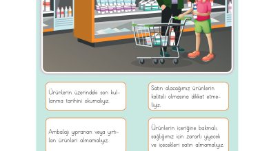 3. Sınıf Meb Yayınları Hayat Bilgisi Ders Kitabı Sayfa 97 Cevapları